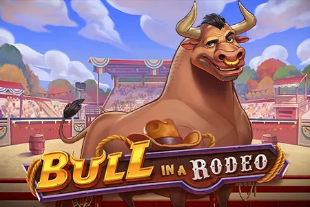 Bull in a Rodeo